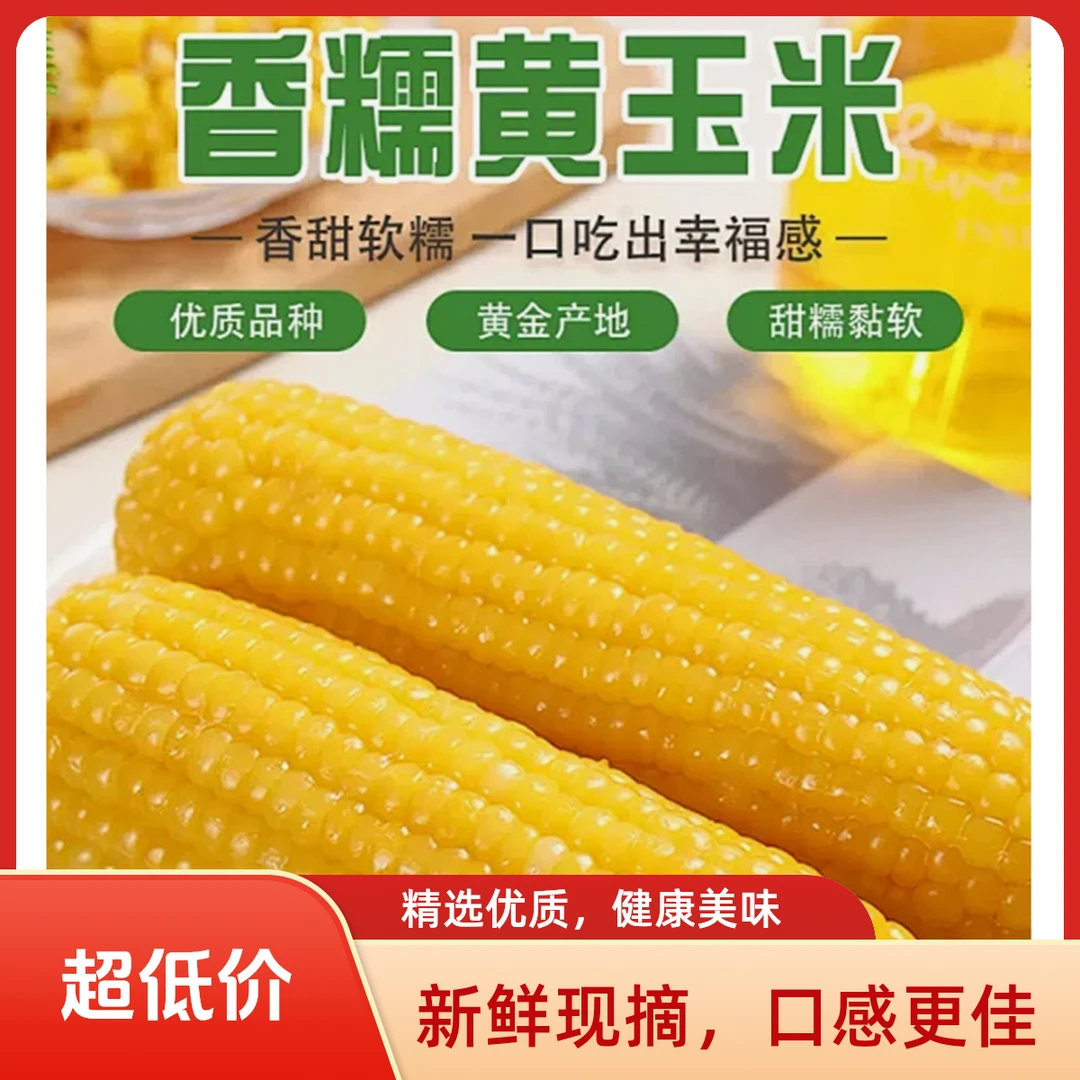 【试吃5根】25年东北头茬黄糯玉米真空包装粗粮营养代餐每根180-220