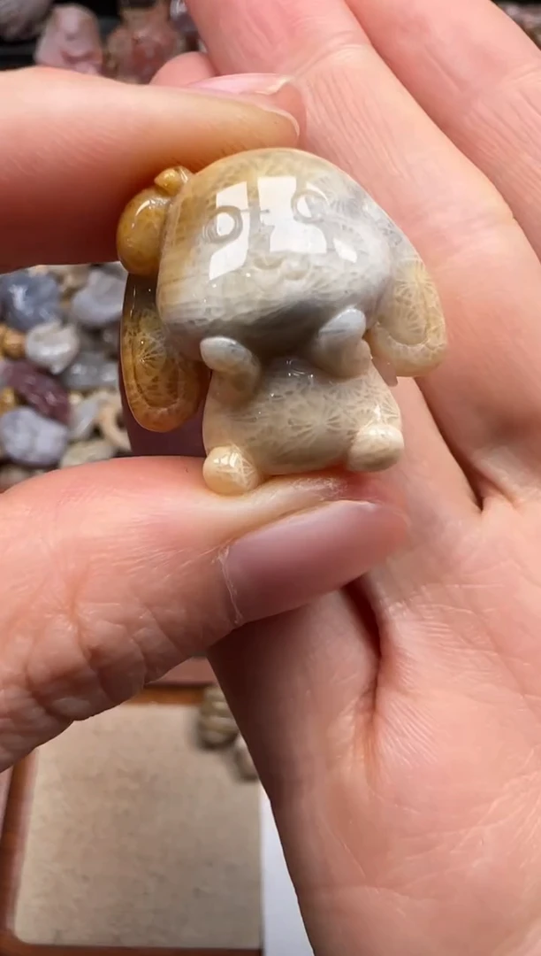 【闪购商品】硅化珊瑚（珊瑚玉）颈饰未镶嵌599