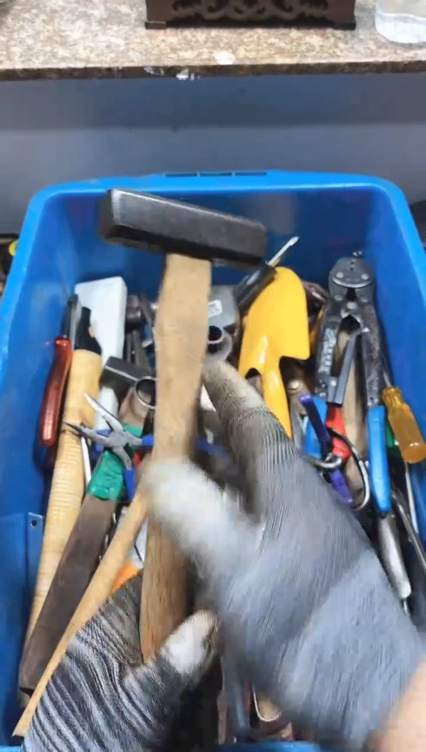 ?****e麻嘎子工具闪购链接一物一拍