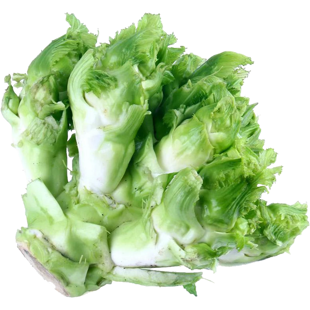 儿菜 21kg