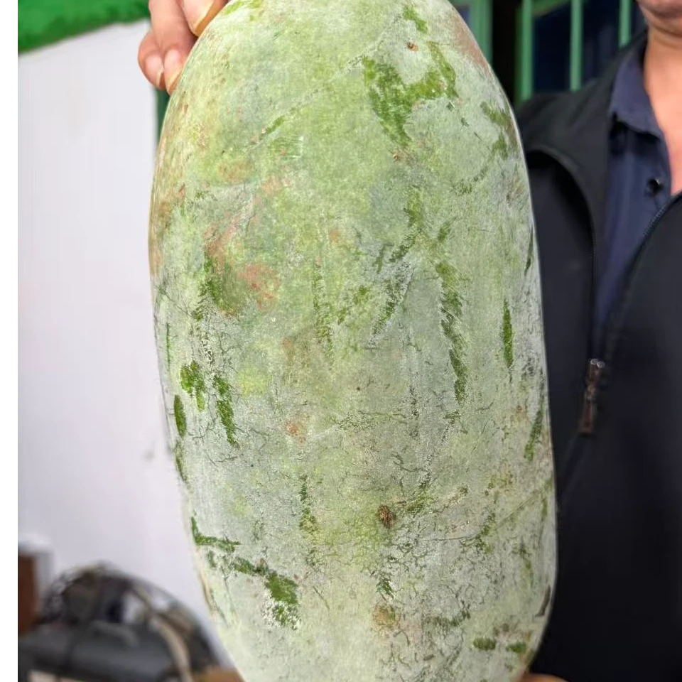 四川直发自家种植冬瓜