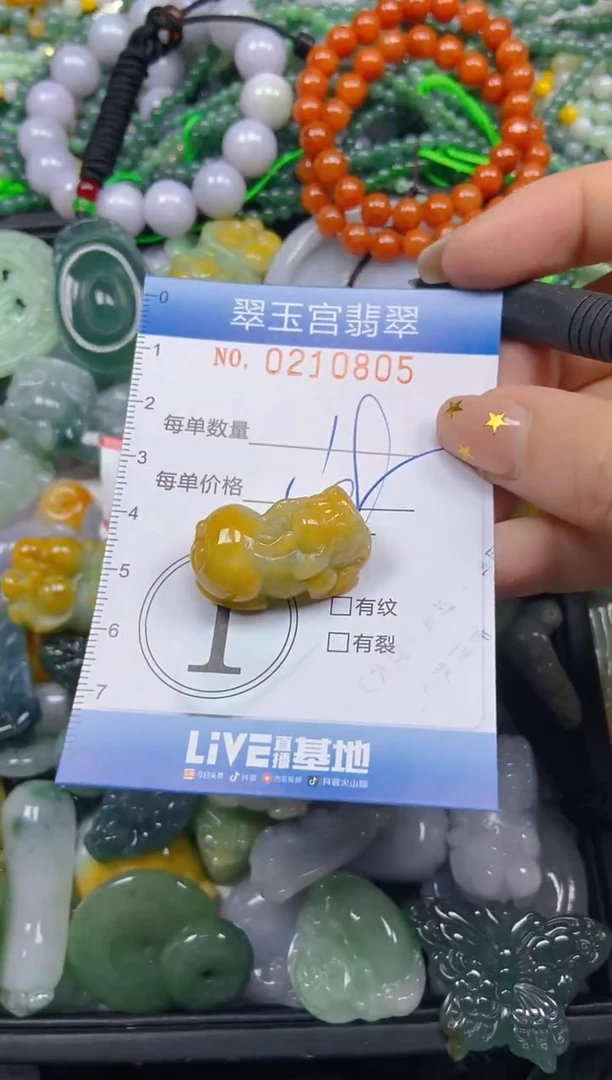 颈饰未镶嵌翡翠闪购C0210805