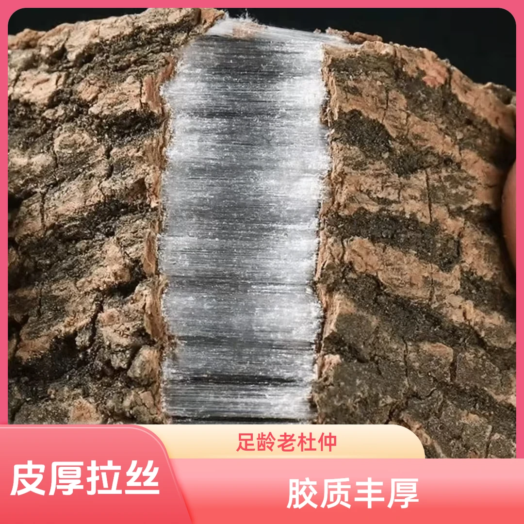 50年伏牛山野外杜仲老树皮杜仲厚块泡水泡汤滋补料