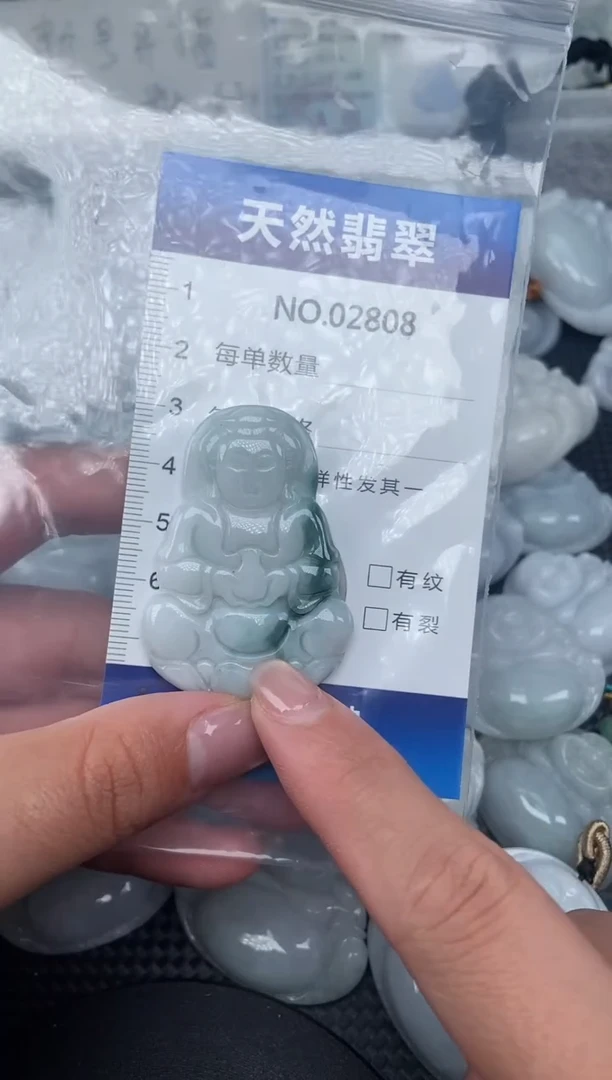 颈饰未镶嵌翡翠纯天然A货翡翠2808
