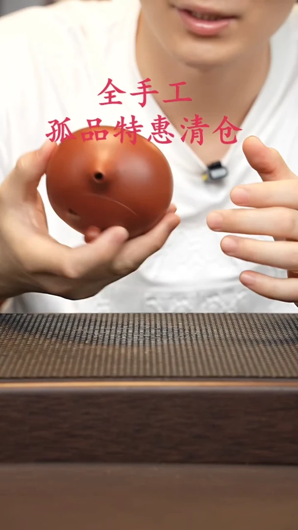 茶壶紫砂源头精品手工作品5318