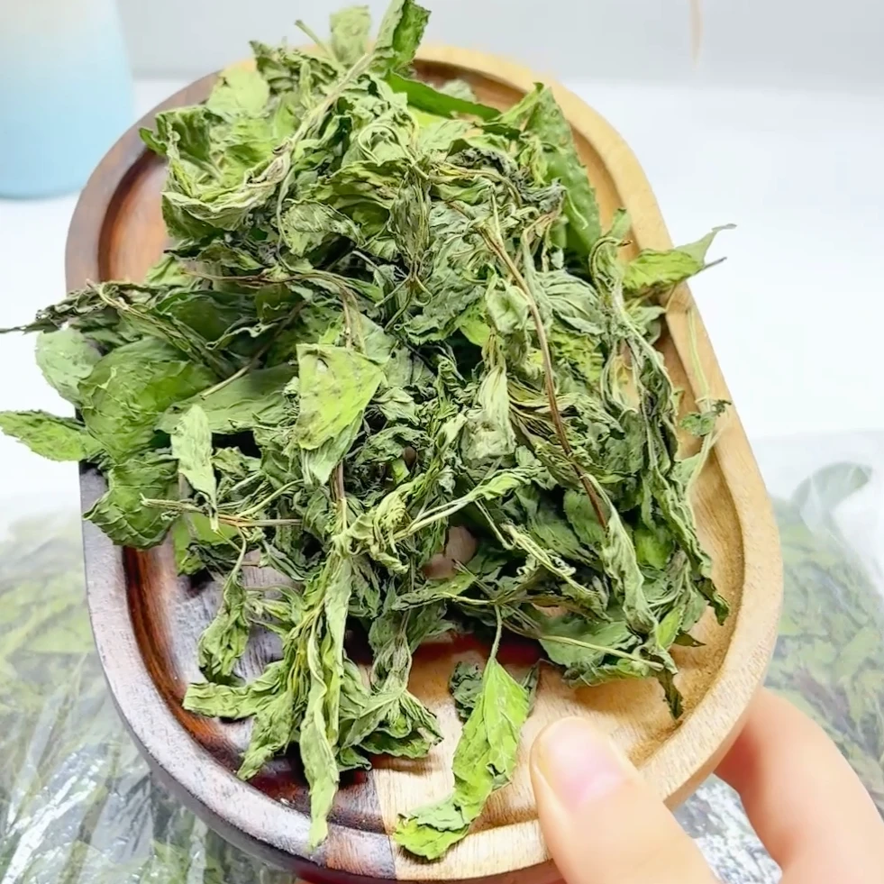 特产新鲜干薄荷叶农家自种包邮