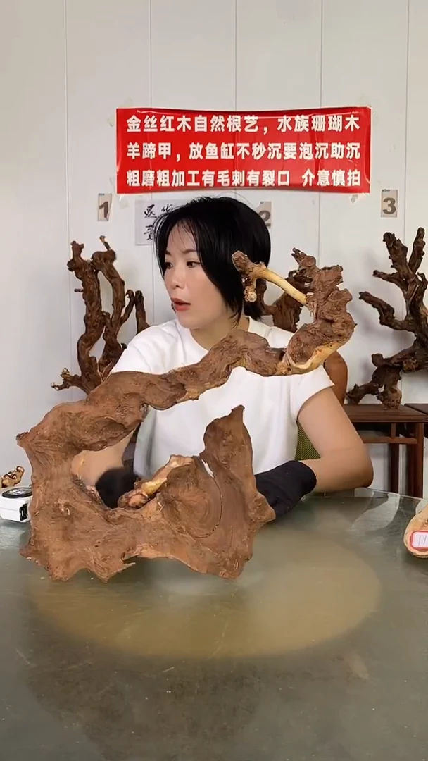 香榧木無****間金丝红木   羊蹄甲