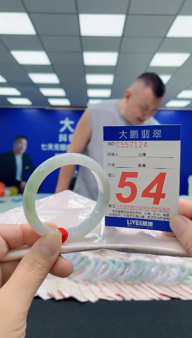 未镶嵌手镯翡翠AAAAAAAAA