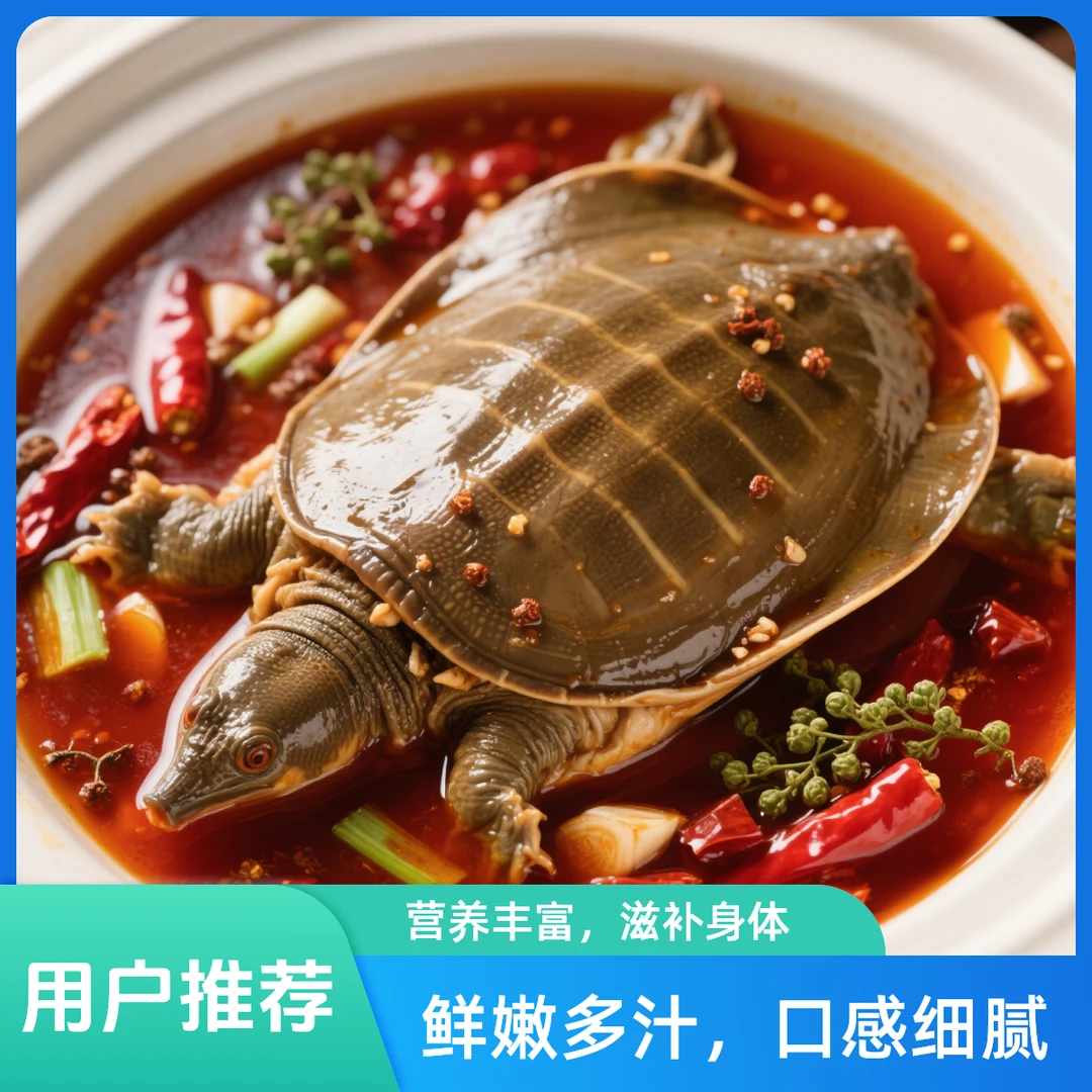 麻辣甲鱼香辣爽口