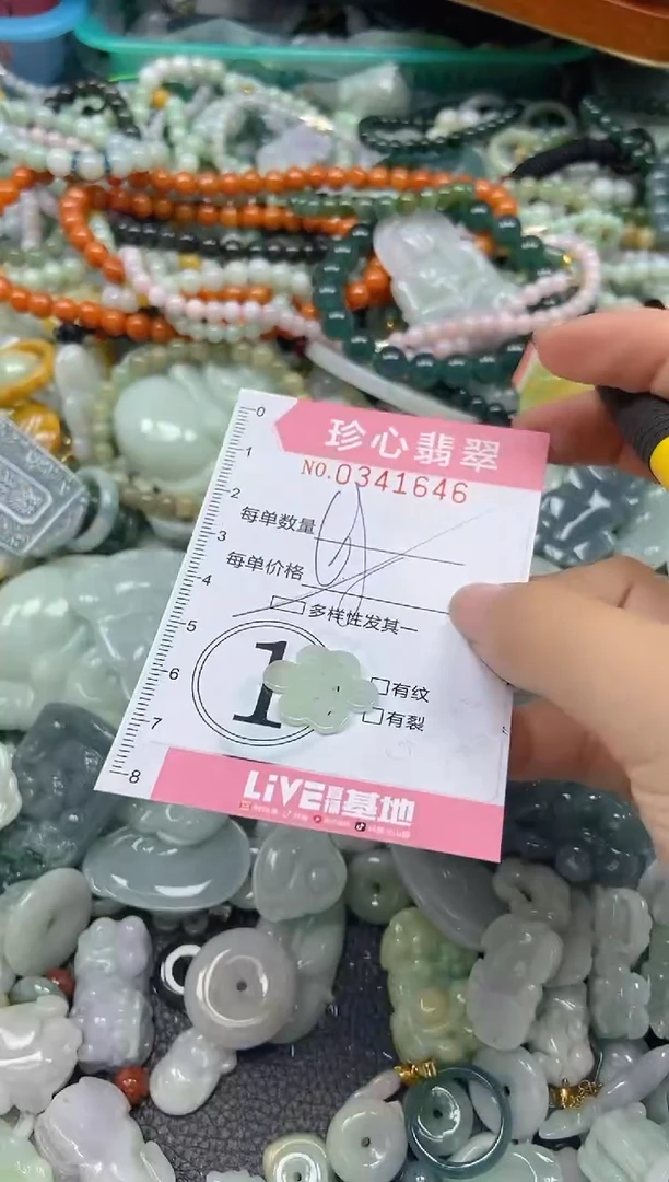 颈饰未镶嵌翡翠闪购0341646多样性发其一