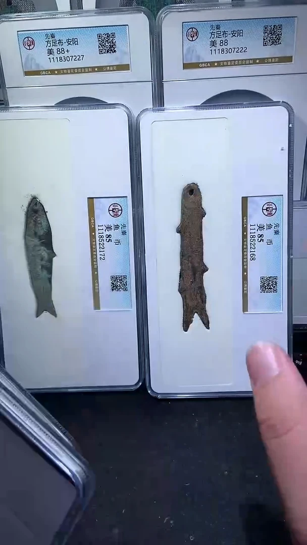 【闪购商品】铜历代 鱼币85分一枚