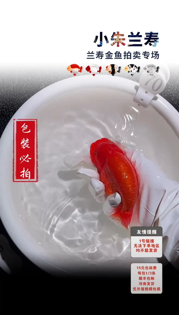 金鱼包装必拍未拍顺丰到付70号