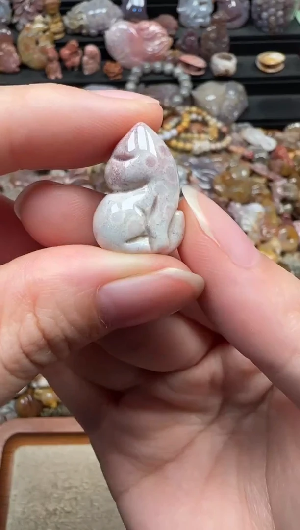 颈饰未镶嵌硅化珊瑚（珊瑚玉）492