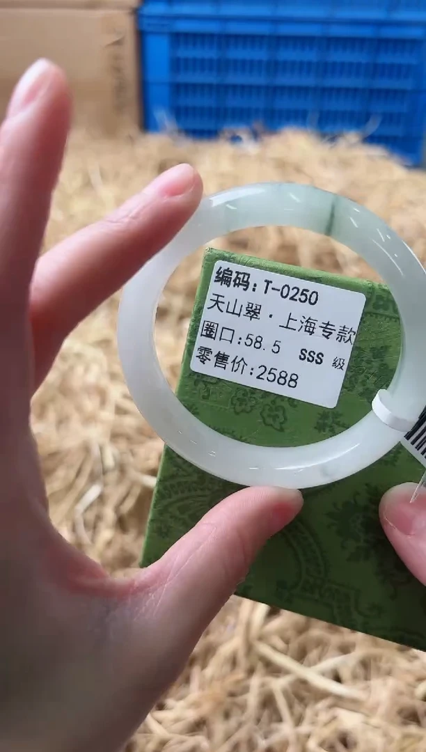 未镶嵌手镯石英质玉T-0250