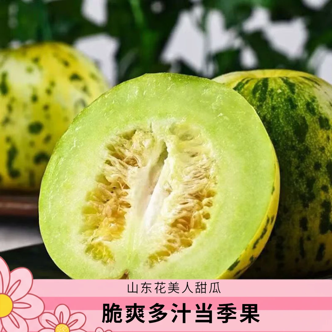 山东花美人甜瓜 脆爽多汁小甜瓜蜜瓜当季水果三通一达