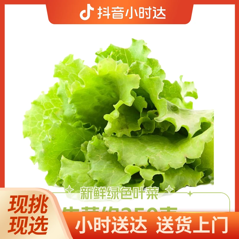 生菜 约250g