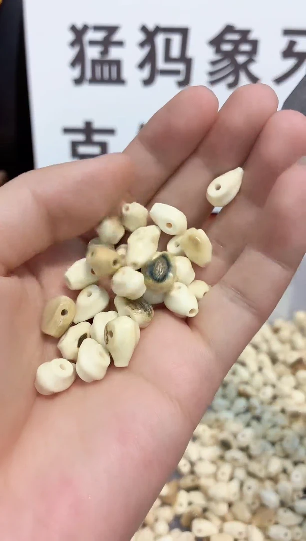 无非金属猛犸猛犸++++++184