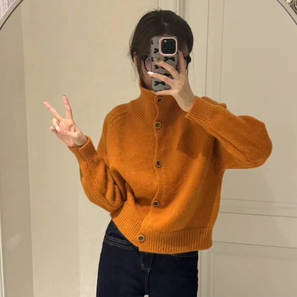 2025秋冬季新款韩系复古立领单排纽扣毛衣女款小个子短款针织开衫