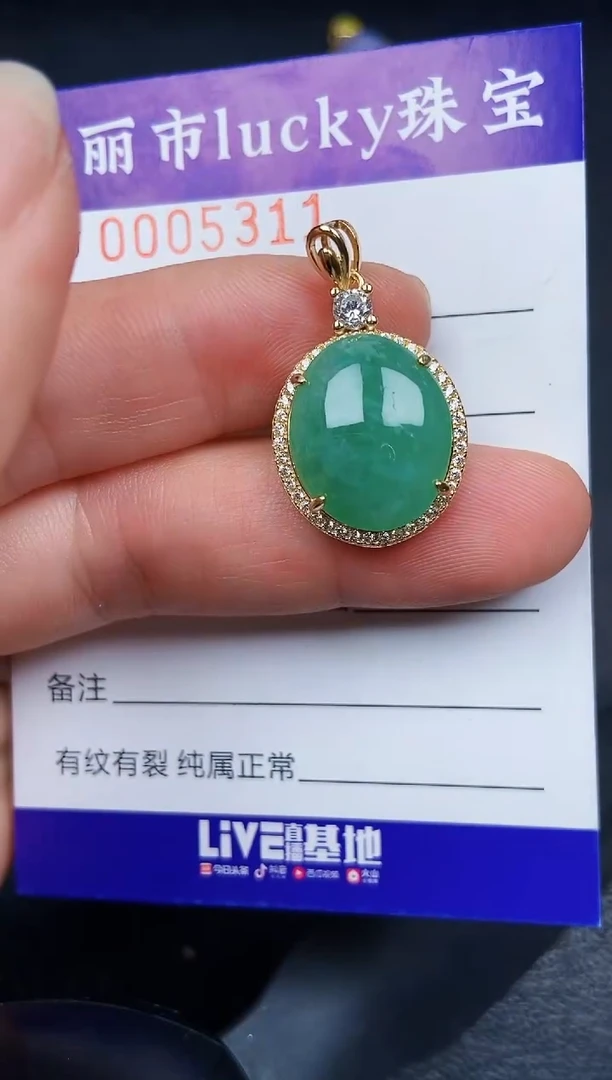 翡翠银S925镶嵌颈饰5311