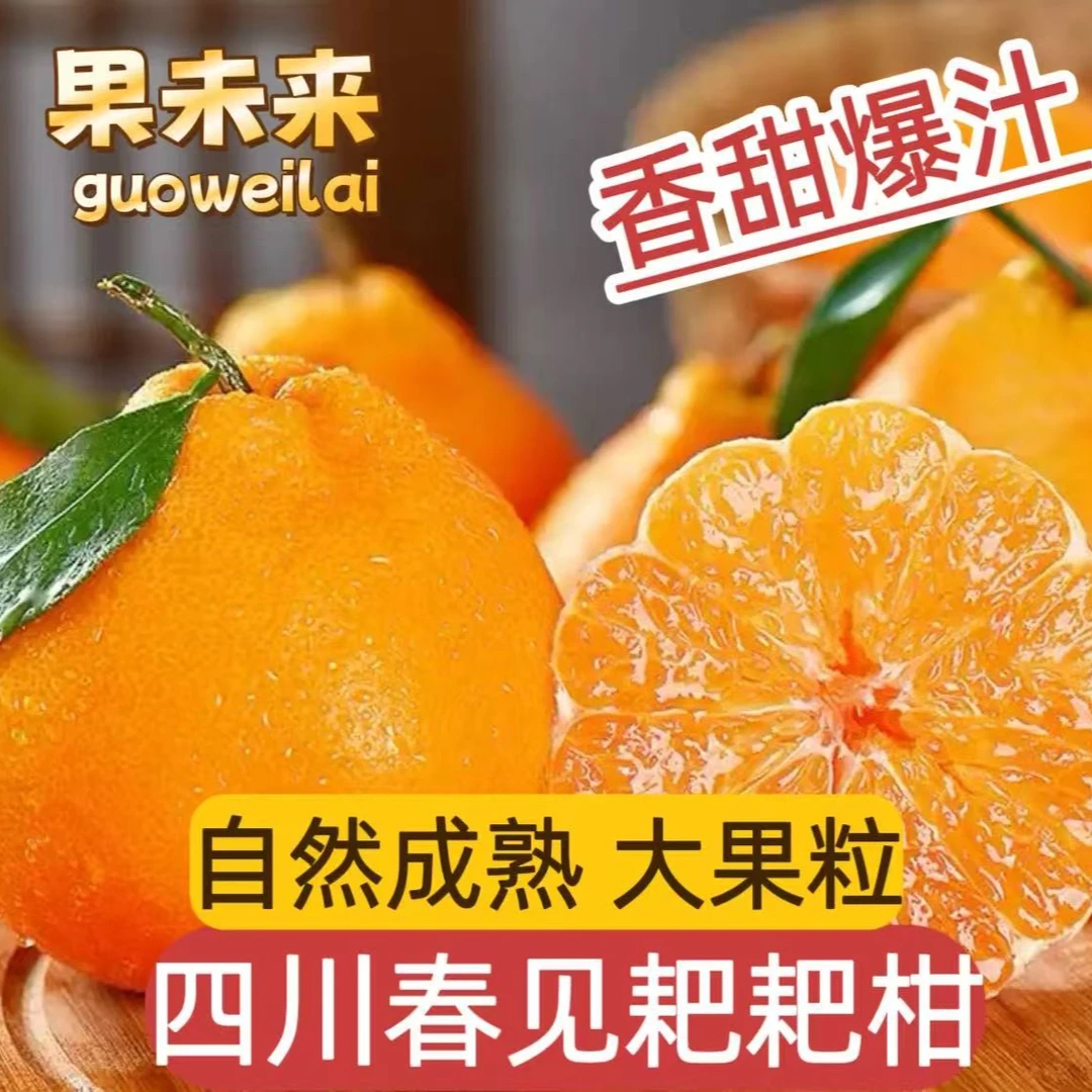 【果未来】四川耙耙柑自然成熟新鲜采摘当天发货春见耙耙柑香甜爆汁