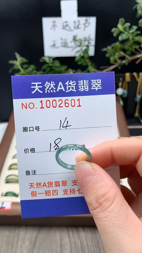 未镶嵌戒指翡翠14#