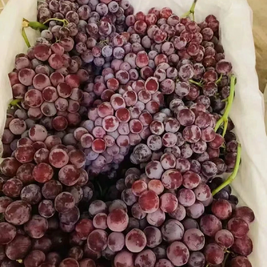 新疆火焰山玻璃脆 新鲜 脆甜无籽 当季新鲜水果  只发川渝新疆维吾尔自治区