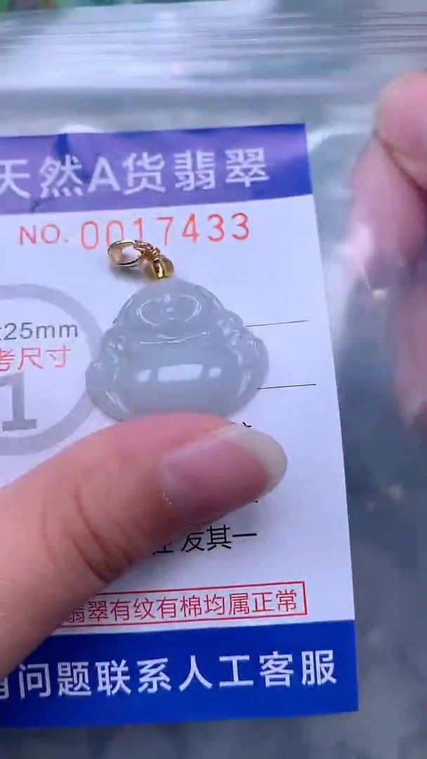 翡翠未镶嵌吊坠(不含链)1