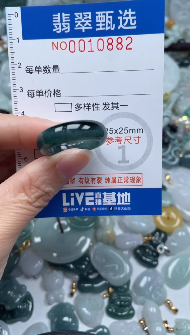 颈饰未镶嵌翡翠10882