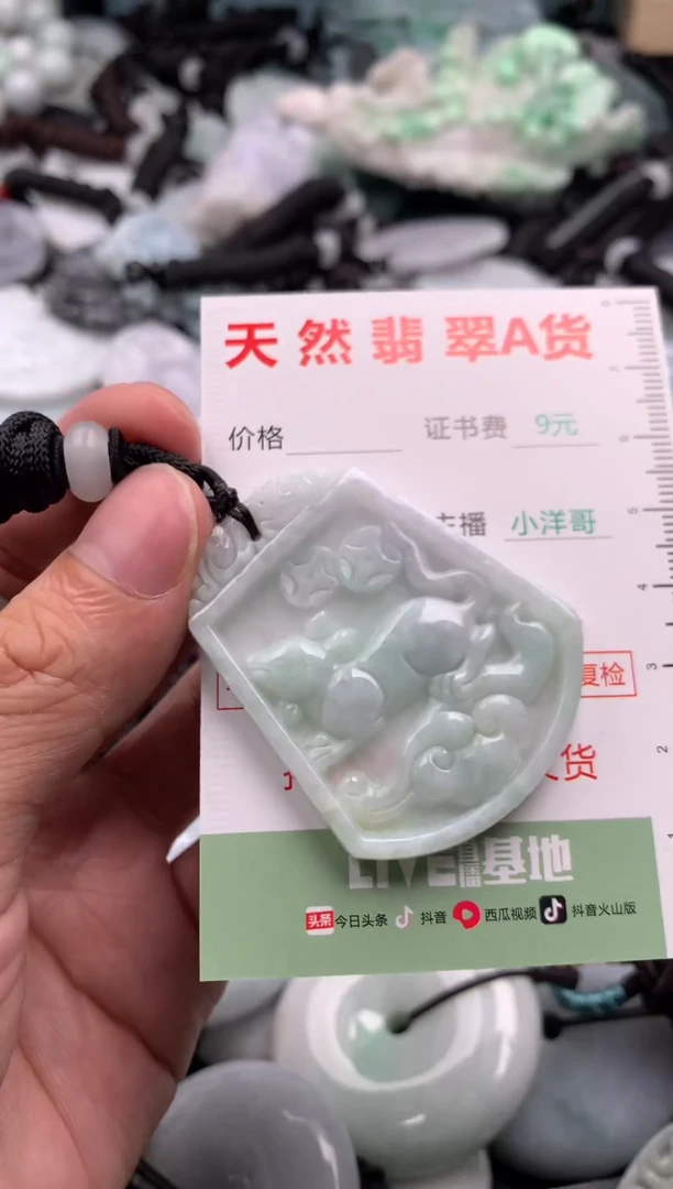 翡翠未镶嵌吊坠(不含链)1