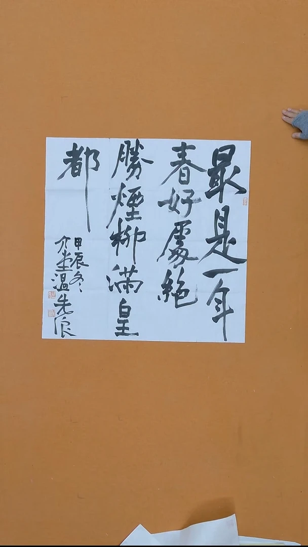 书法温先浪  湖南   68*68cm  有折痕