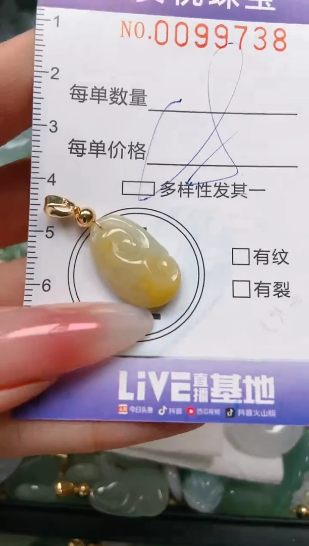 【闪购商品】翡翠颈饰未镶嵌闪购0099738