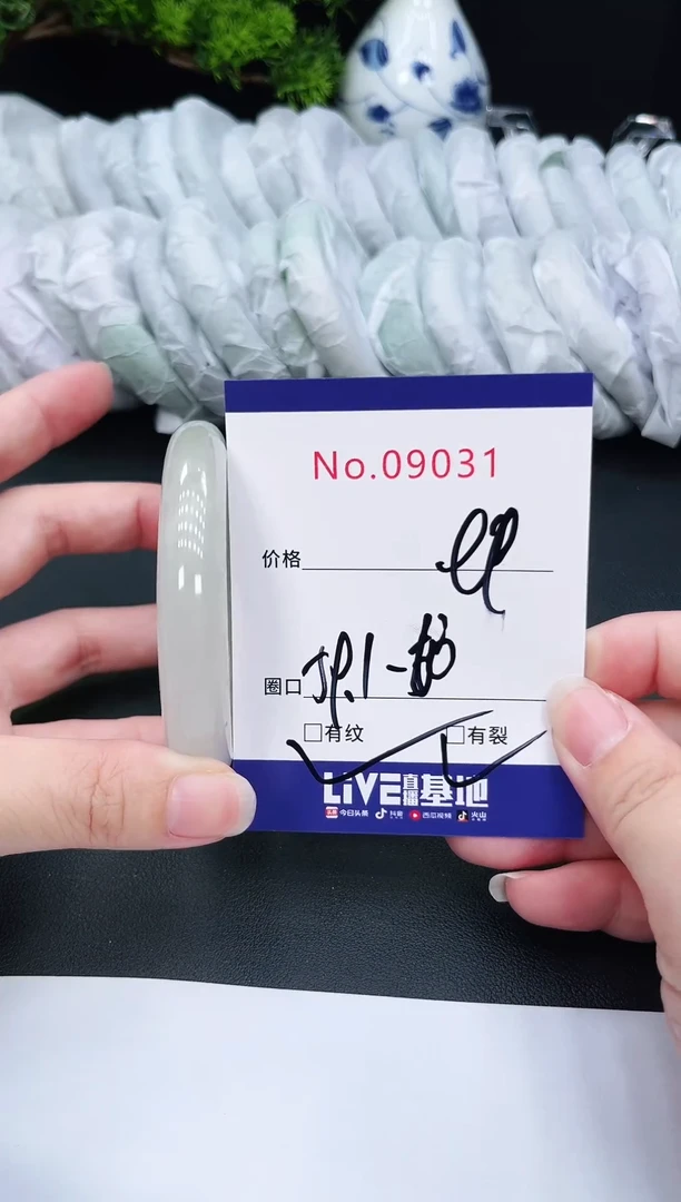 未镶嵌手镯翡翠9031