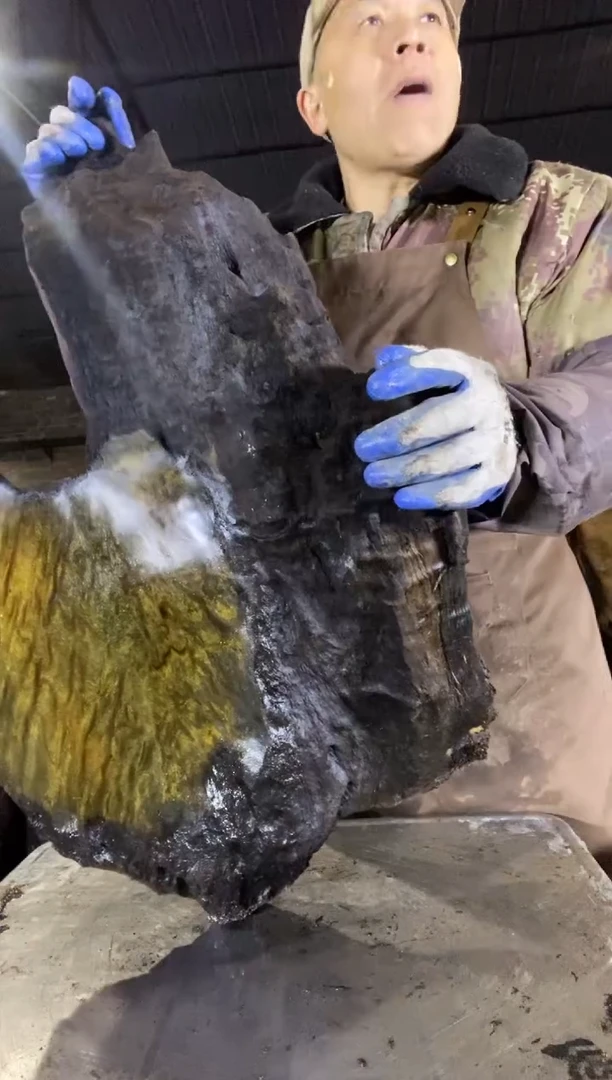 其他楠木（金丝楠）金丝楠小叶桢楠39