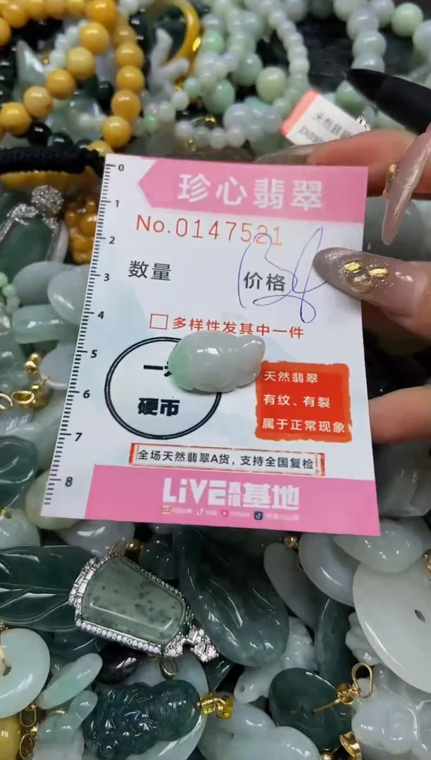 【闪购商品】翡翠颈饰未镶嵌闪购0147521