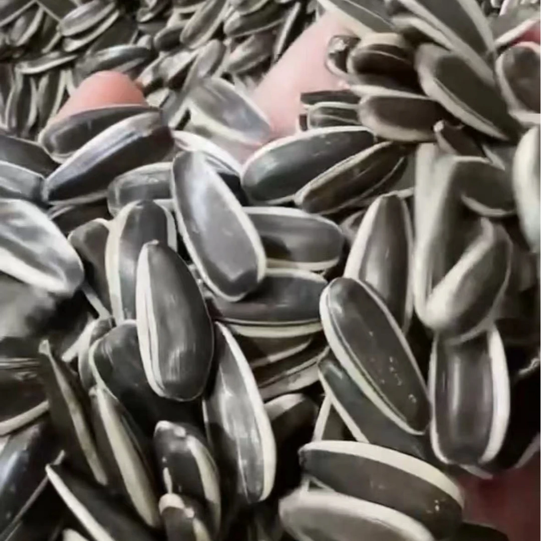 新年好货 休闲零食 瓜子