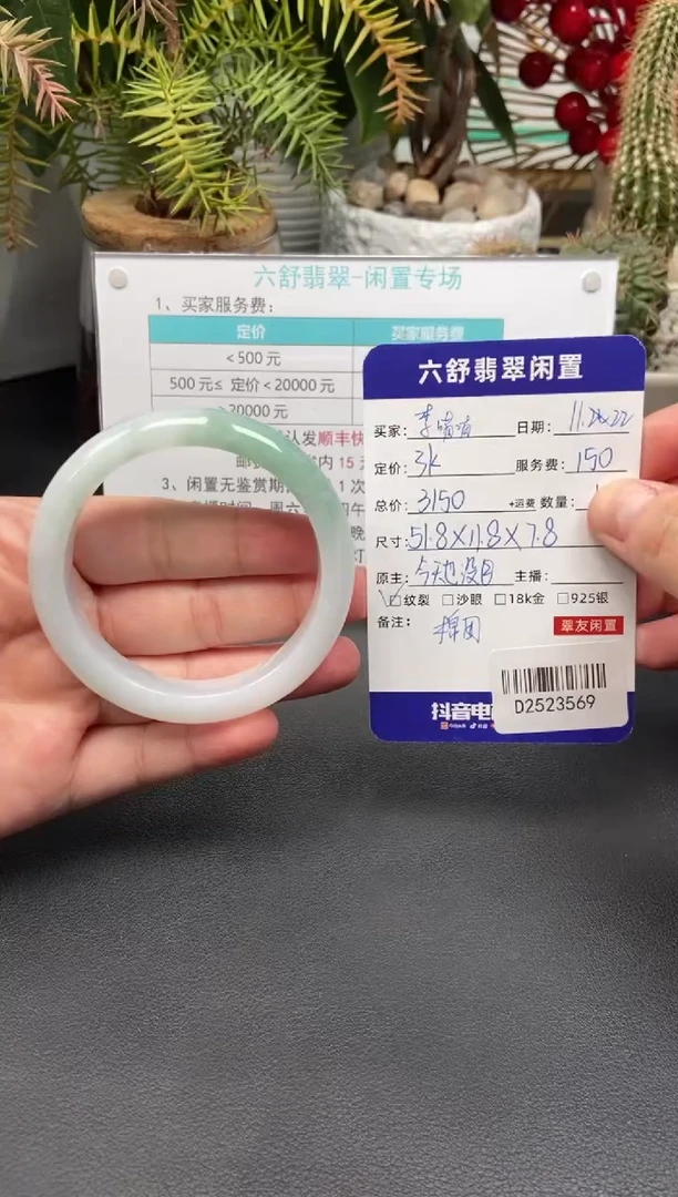 未镶嵌手镯翡翠李*喵D2523569