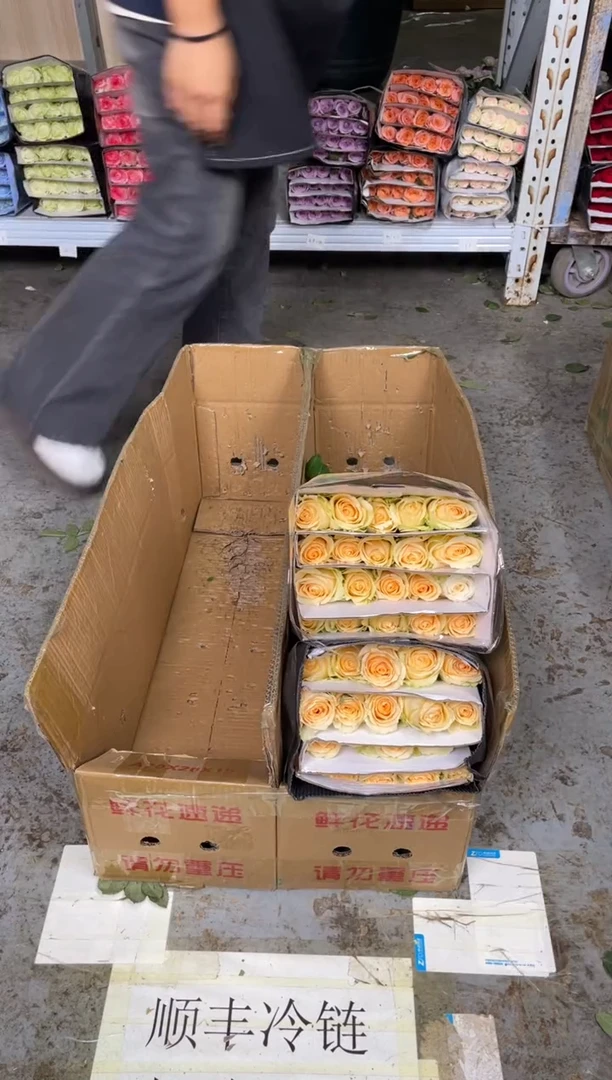 香槟  5扎
