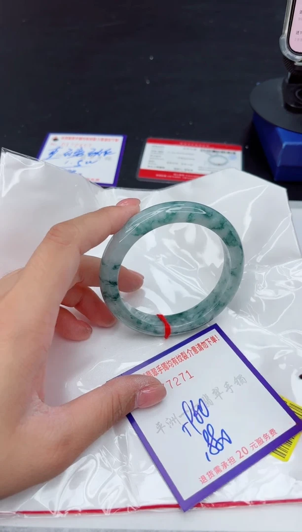 未镶嵌手镯翡翠1