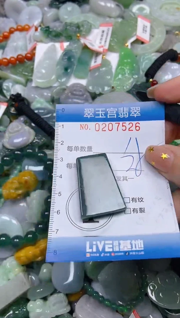 颈饰未镶嵌翡翠闪购C0207526