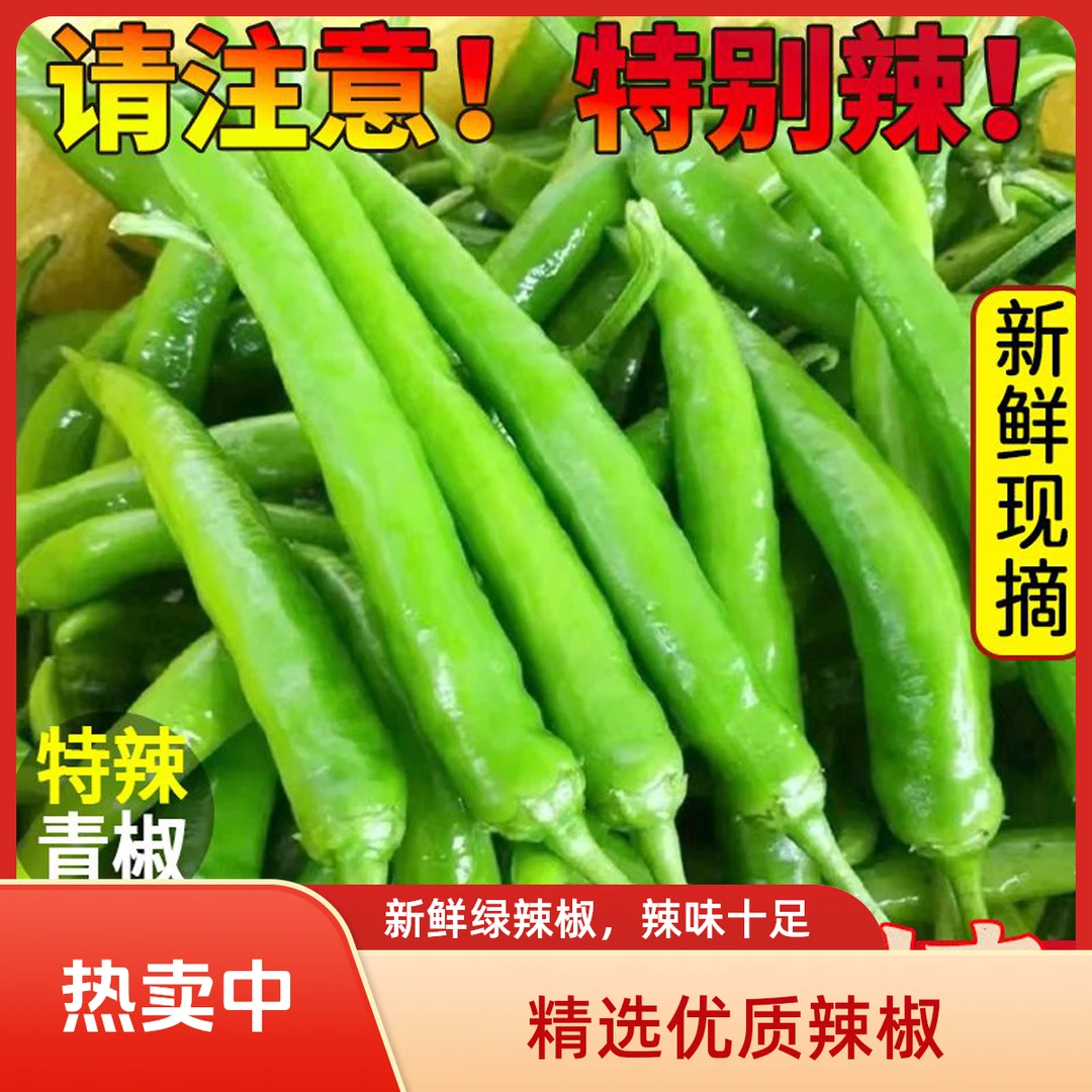 【5斤鲜辣椒】小青椒杭椒尖椒朝天椒线椒螺丝椒小米椒现摘青椒1斤