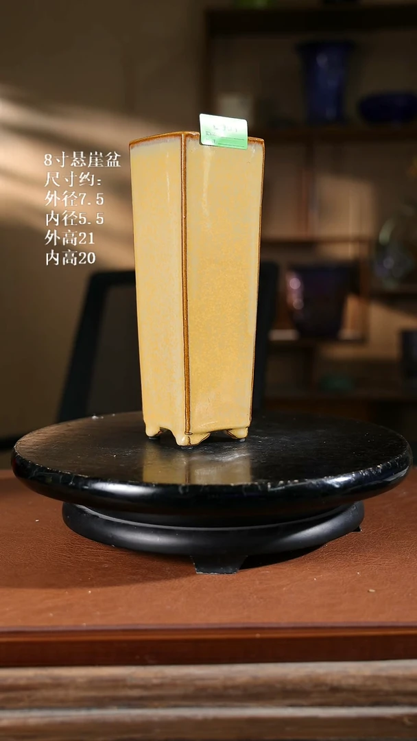 8寸悬崖盆    家居级561