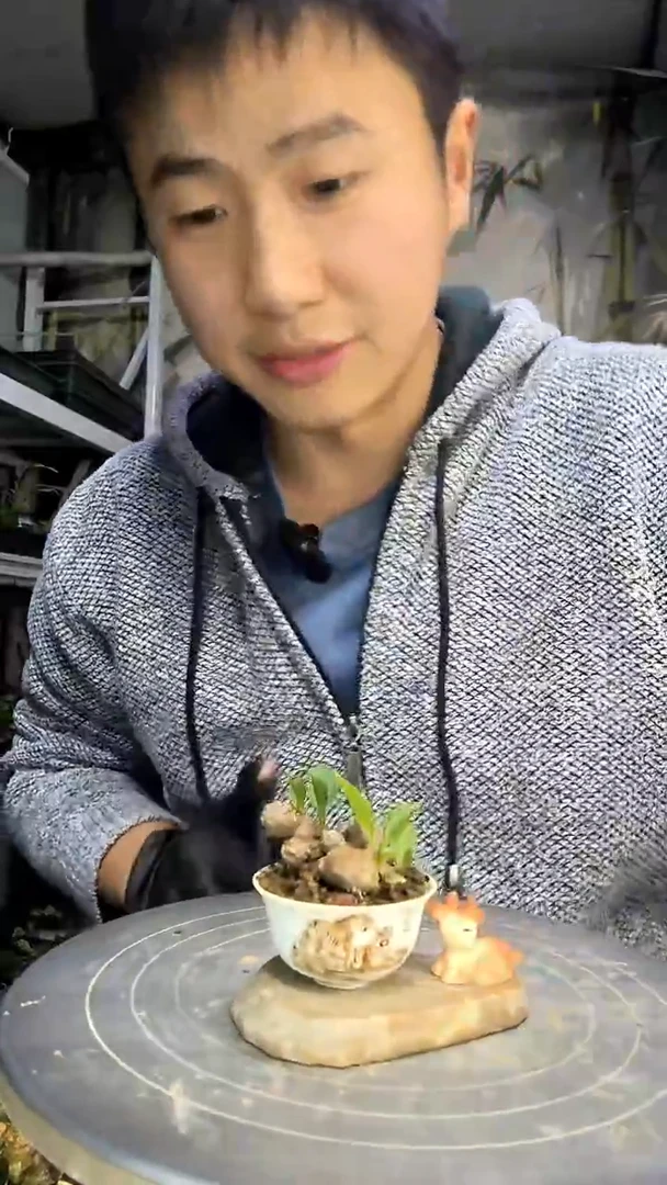 临****女中青园艺一物一拍花484