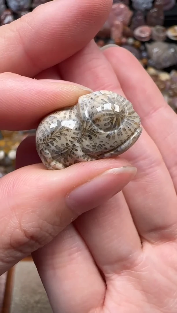 颈饰未镶嵌硅化珊瑚（珊瑚玉）776