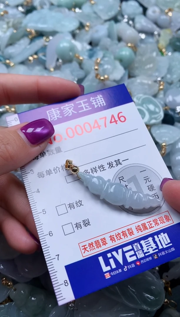 颈饰未镶嵌翡翠4746