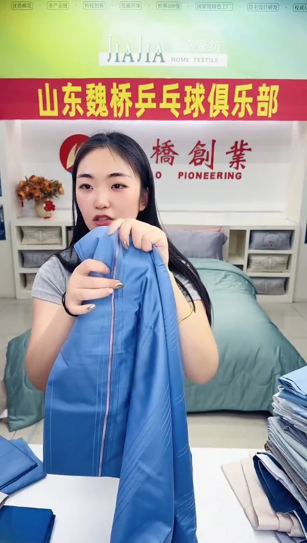 嘉嘉家纺外贸枕套09