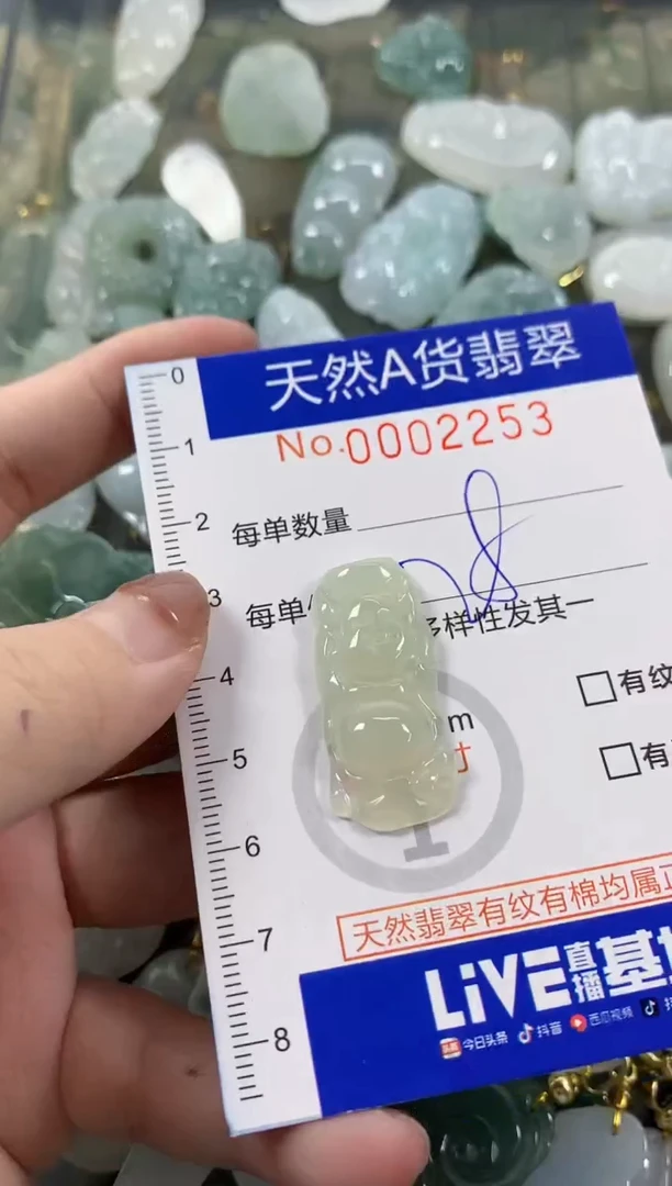 颈饰未镶嵌翡翠天然A货翡翠