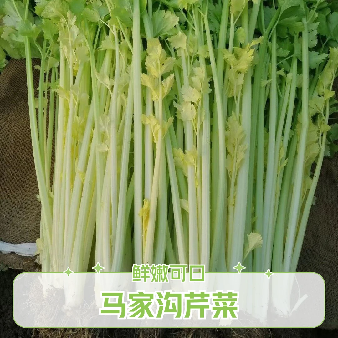 马家沟芹菜900g±20g