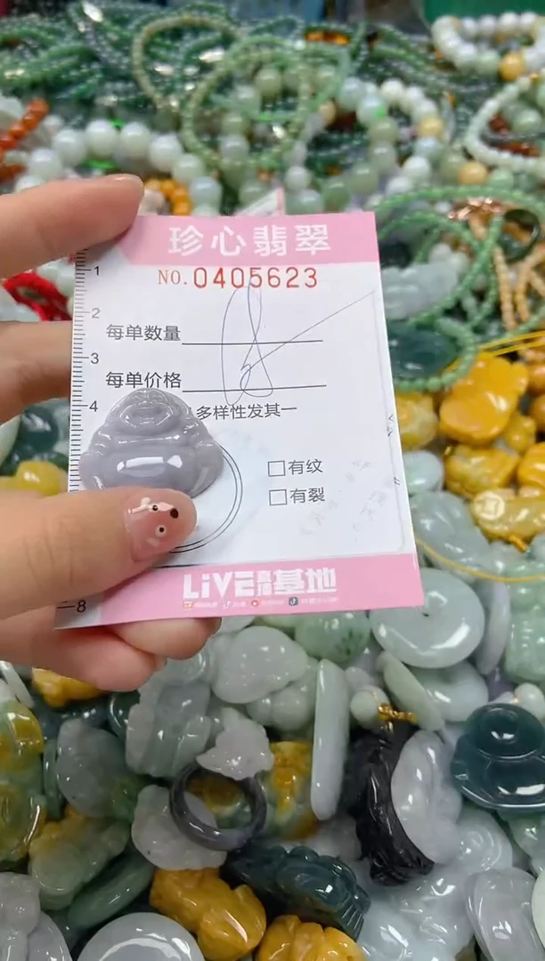 颈饰未镶嵌翡翠闪购0405623