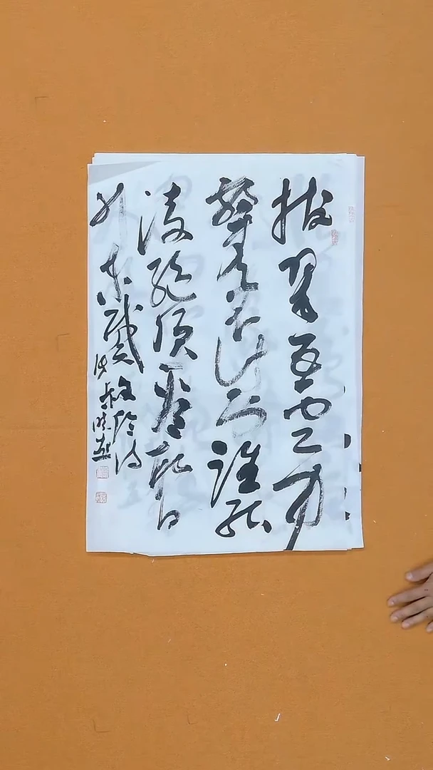 书法张晓燕  甘肃理S    45*68