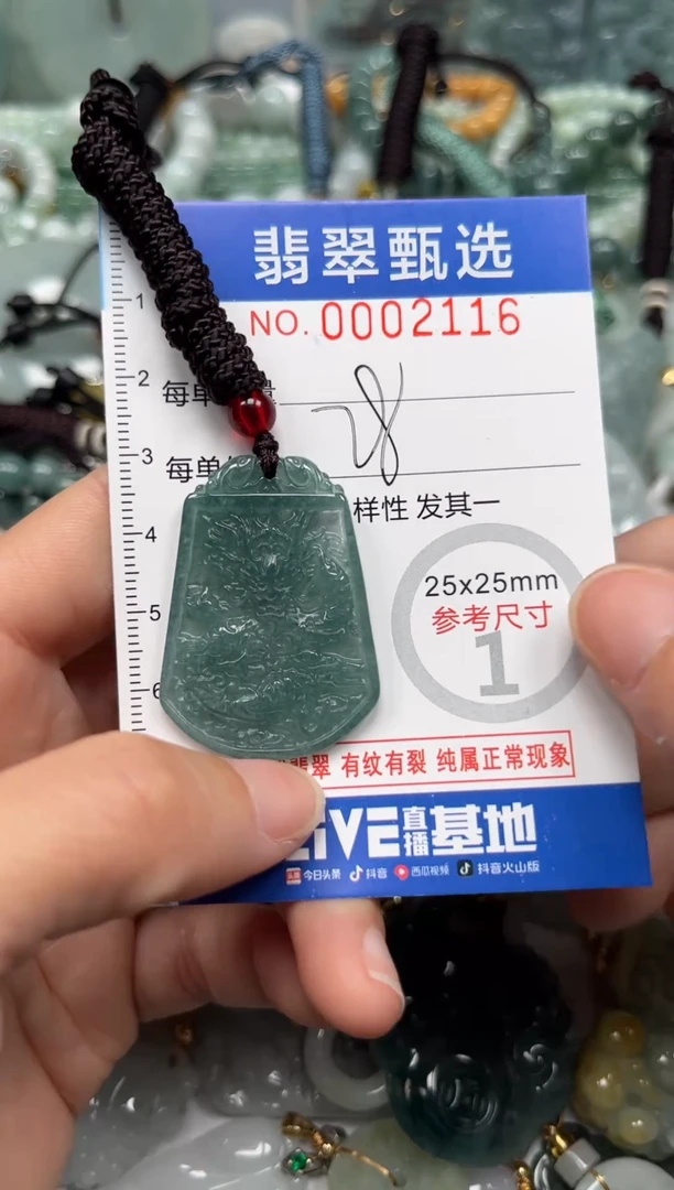 【闪购商品】翡翠颈饰未镶嵌00..2116